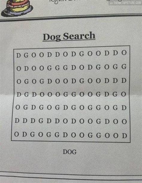 doggy Search